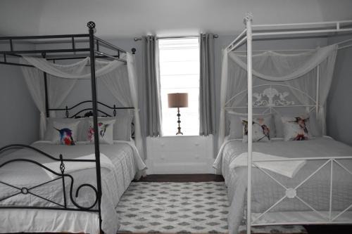 Pictou Bed & Breakfast | Discover Seabank House Bed and Breakfast Hummingbird