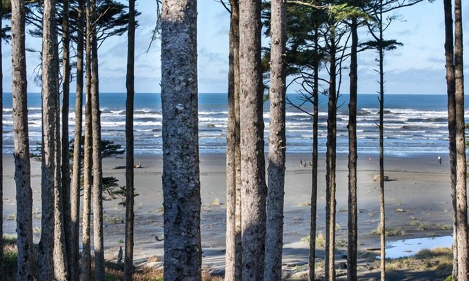 Seabrook House | Experience Oceanview Bliss at Seabrook's Oceanaire Home