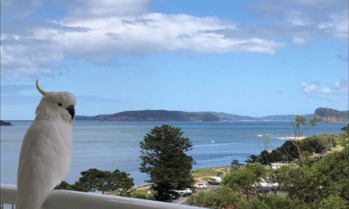 Ettalong Beach House | Beachfront Oasis at Seashells - Ettalong Beach Resort