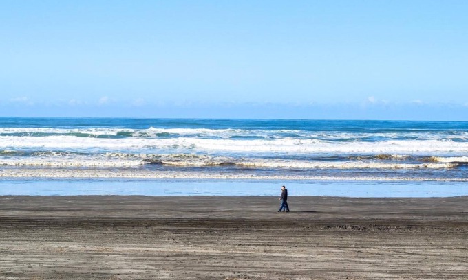 Long Beach Hotel | Seaview Sanctuary: Pet-Friendly Units with Pool Near Beach