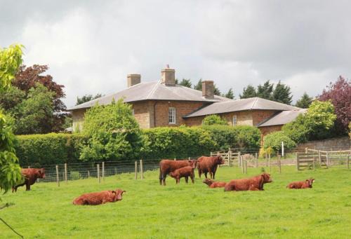 Towcester Bed & Breakfast | Seawell: Family-Friendly Retreat with a Perfect 10/10 Score