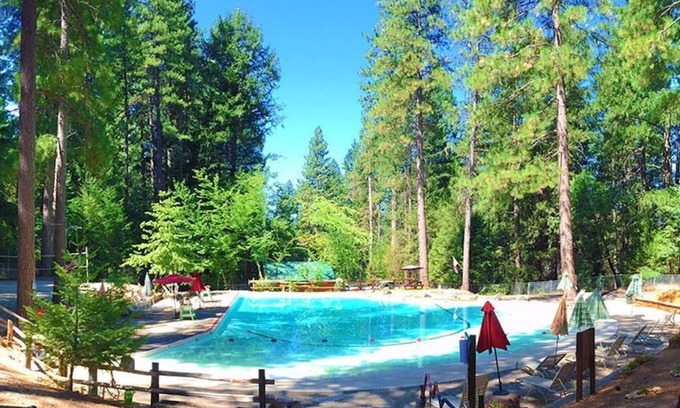 Alta Cabin | Secluded Cabin Retreat with Hot Tub & Top Guest Rating 10/10