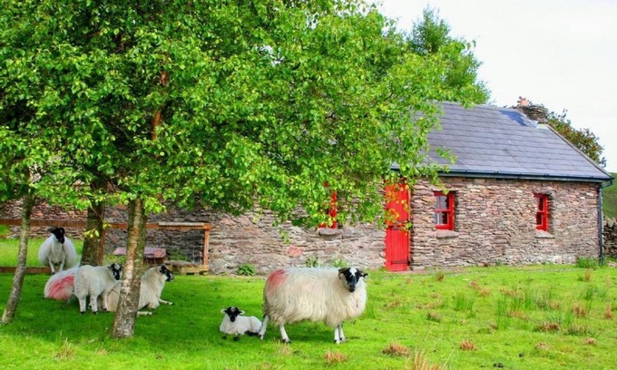 Caragh Other | Idyllic Retreat by the Lake with Spa and Scenic Views