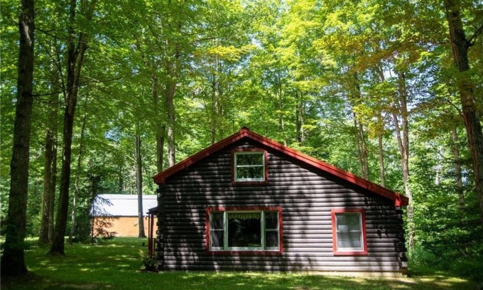 Avoca Cabin | Discover a Secluded Log Cabin with Scenic Trails in Howard NY