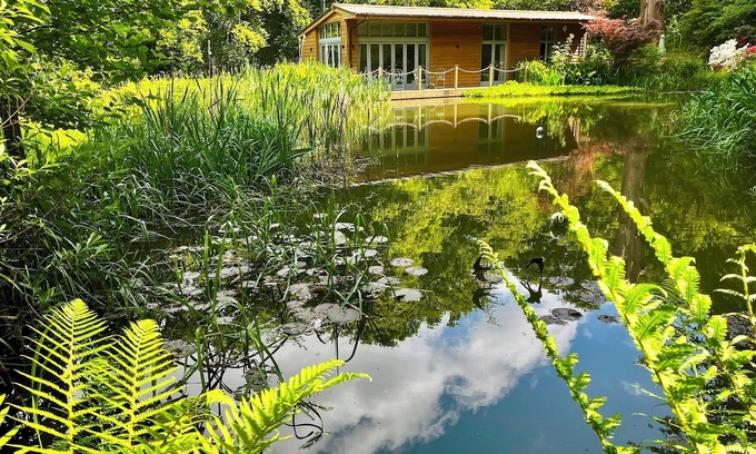 New Forest District Ski Chalet | Pet-Friendly Riverside Lodge in Secluded New Forest