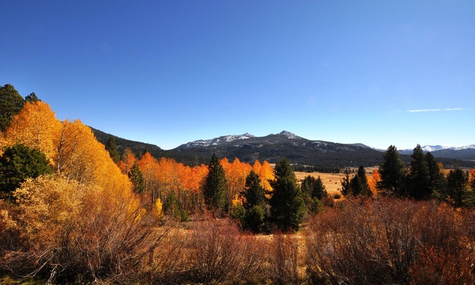 Kirkwood Condo | Indulge in Comfort at The Meadows 213, Kirkwood Resort