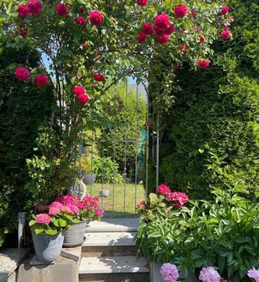 Muensingen Apartment | Discover Family-Friendly Comfort at Zum Sternberg
