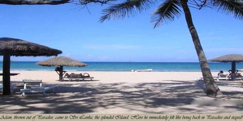 Irrakkakandi Hotel | Relaxing Retreat at Secret Escape Nilaveli Ayurveda Hotel