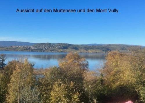 Meyriez Apartment | Seeblick
