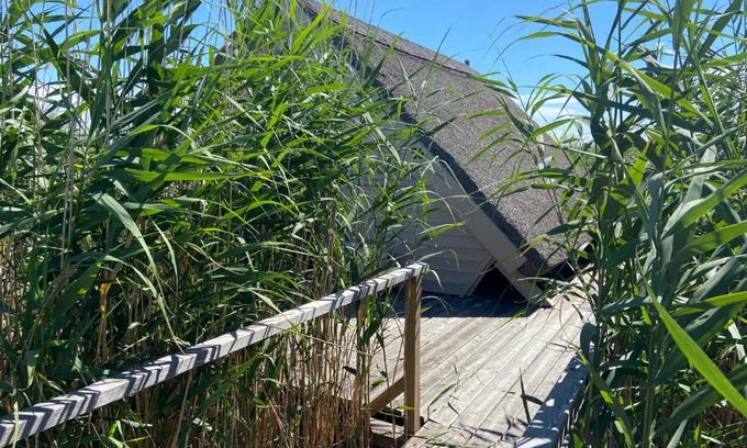 Rust House | Seehütte am Neusiedlersee: Waterfront Oasis with Hot Tub