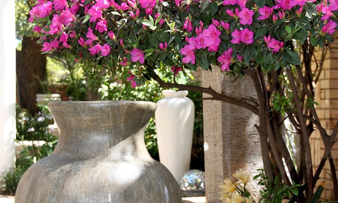 Carletonville House | Inviting Selati Guesthouse with Pool and Breakfast Included