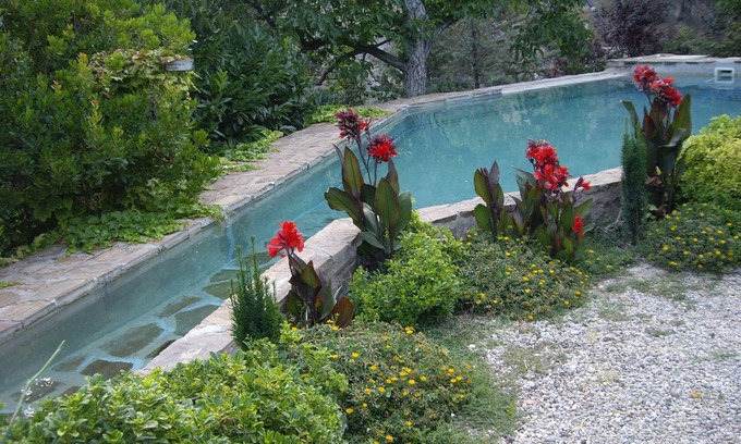 Torres Cottage | Cozy La Casita with Pool and Ocean View for 6 Guests