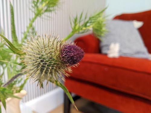 Ronachan Apartment | Cozy Self-Catering Suite near Islay Ferry Terminal