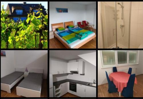 Breitenbrunn Apartment | Family Apartment with Lake View at Neusiedlersee