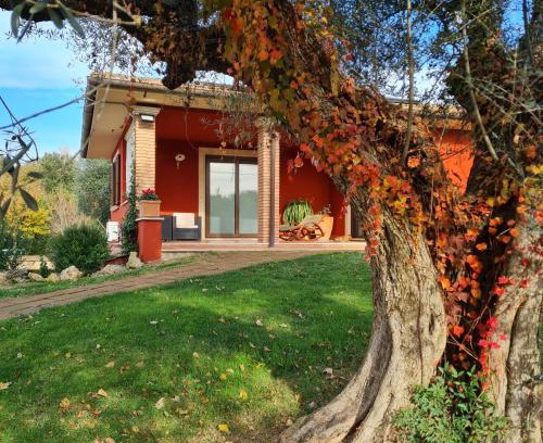 Tuscania House | Pet-Friendly Retreat at Selva Castalda with Top Guest Ratings