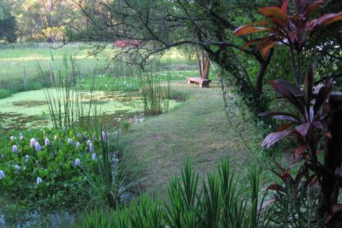 San Jose del Rincon House | Experience Nature at Sen de Campo: Oceanfront Family Retreat