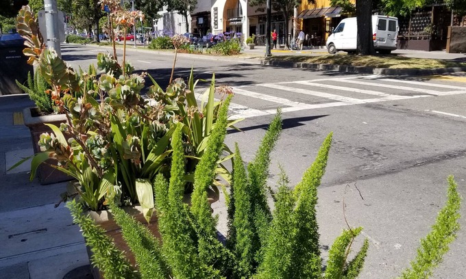 North Berkeley Hotel | Relaxing Stay at Sens Hotel & Vanne Bistro in Berkeley