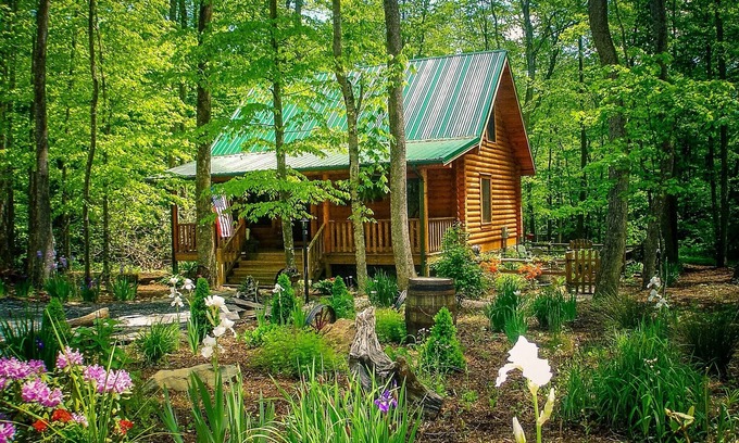 Todd Cabin | Guest Rated: 9.8 - Enjoy Hot Tub, King Beds & WiFi