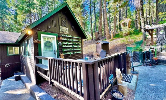 Pollock Pines Cabin | Relaxing Cabin in the Trees with Hot Tub & Lake View