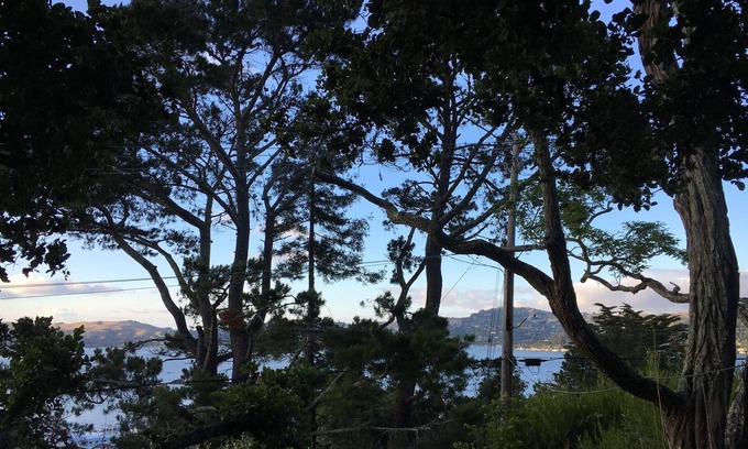 Sausalito Apartment | Oceanfront Serenity: One-Bedroom Retreat Near San Francisco