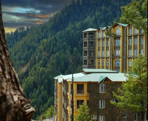 Khaira Gali Apartment | Relax at Serenity Hilltop Apartments with Pet-Friendly Amenities