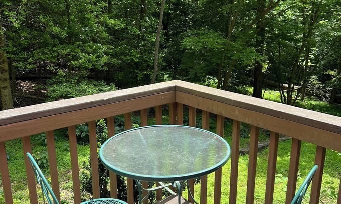 Brevard House | Discover Serenity Home: Forest Fun and Family Adventures