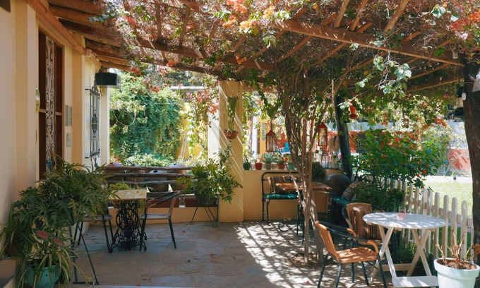Ica Hotel | Cozy Serenity Hotel & Lodge: Pet-Friendly with Pool Access