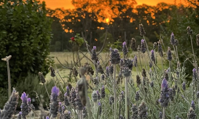 Fleurbaix Cottage | Discover Serenity on Stanthorpe: Family-Friendly Comfort