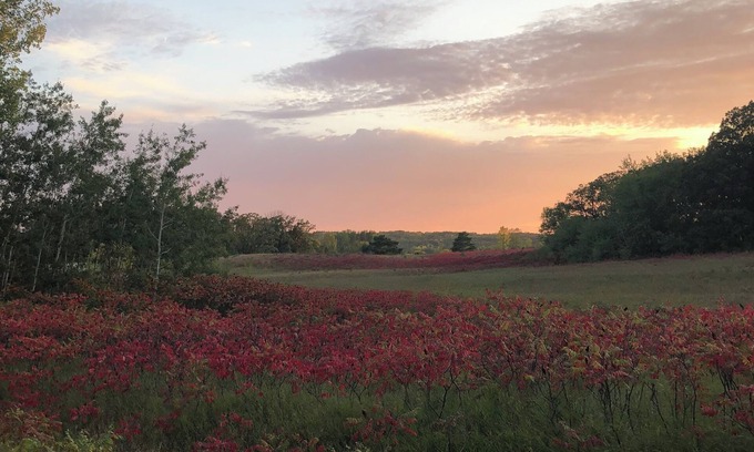 Cormorant House | Serenity on Turtle Lake