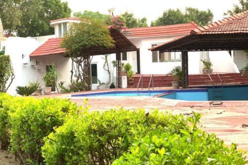 Puri Other | Cozy Service Apartment with Pet-Friendly Amenities
