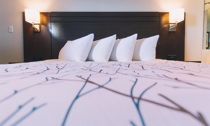Grande Prairie Hotel | Discover Service Plus Inns and Suites: Pet-Friendly Retreat