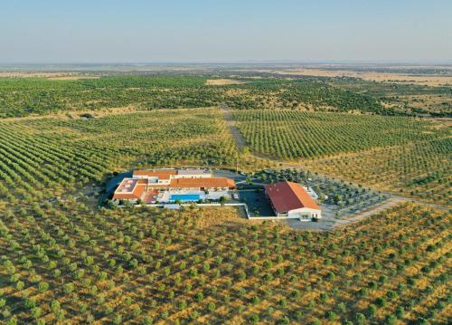 Ferreira do Alentejo House | Relax at Sesmarias Turismo Rural & SPA with Ocean Views