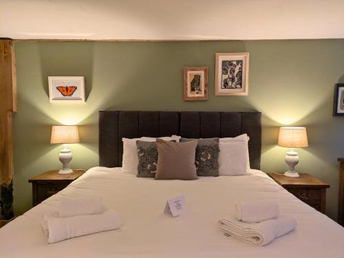 Moreton Hotel | Discover Seven Stars: Pet-Friendly & Family-Oriented Stay