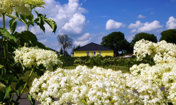 Severin Apartment | Comfortable Severin Apartments: Pet & Child Friendly Stay