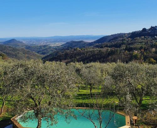 Marliana Villa | Discover ShaLeo Holiday Home: Top-Rated Family Retreat