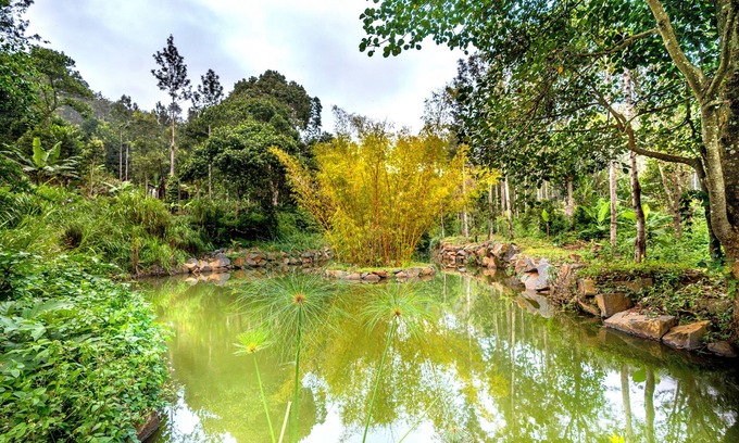 Yercaud Hotel | Top Rated Shambala Yercaud with Spa and Family Amenities
