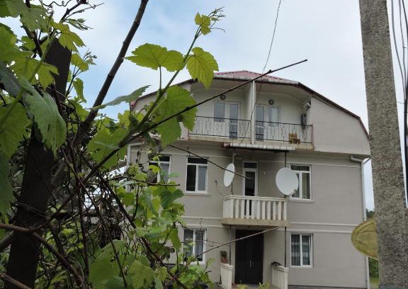 Mtsvane Kontskhi House | Pet-Friendly Shamil House: Ideal for Families and Comfort