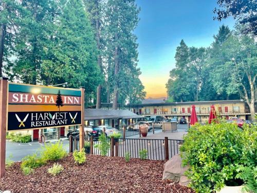 Mount Shasta Hotel | Discover Comfort at Shasta Inn - Pet Friendly and Welcoming