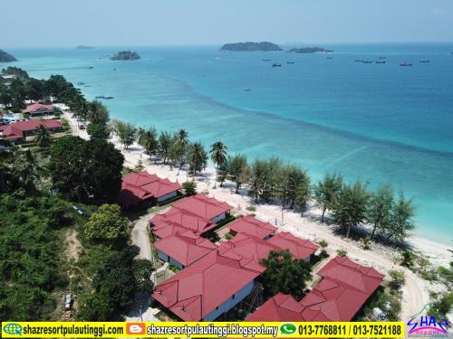 Pulau Tinggi Resort | Discover Shaz Resort Pulau Tinggi with Poolside Relaxation