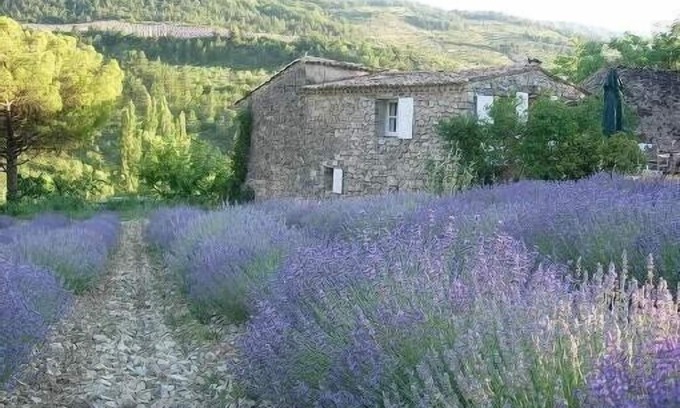 Sainte-Euphemie-sur-Ouveze Other | Experience the Beauty of Provence near Mont Ventoux