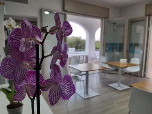 Maruggio Bed & Breakfast | Exceptional Shekhinah Bed and Breakfast with Family Kitchen