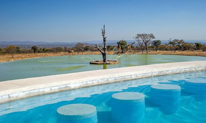 Vaalwater Cabin | Experience Shekinah Lion and Game Lodge with Unique Amenities