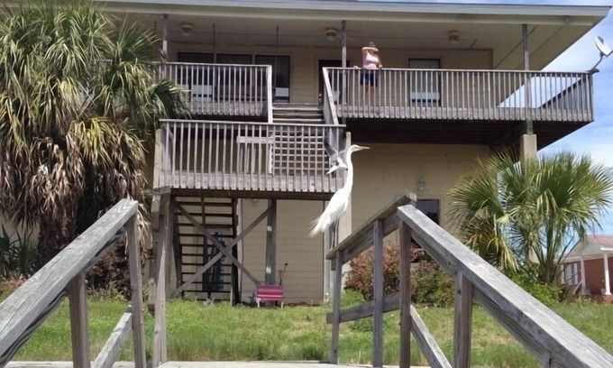 Crawfordville House | Experience Shell Point Beach: Family-Friendly Getaway Awaits