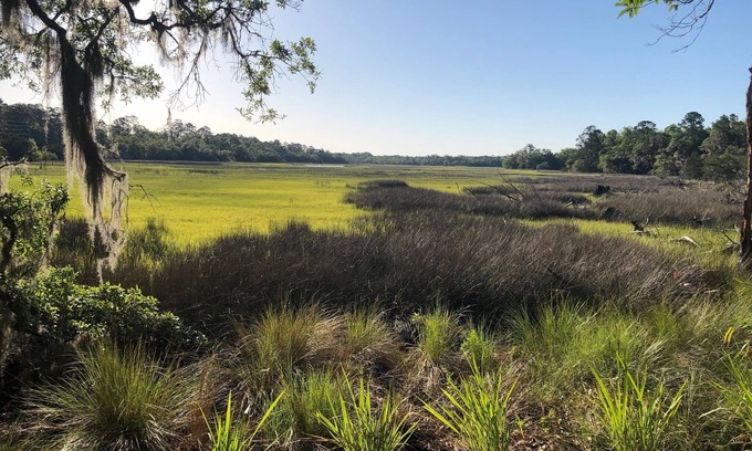 Valona House | Discover Marsh View Bliss at Bird Nest near Harris Neck