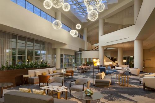 Arlington Hotel | Experience Comfort at Sheraton Arlington Hotel with Pool & Pets