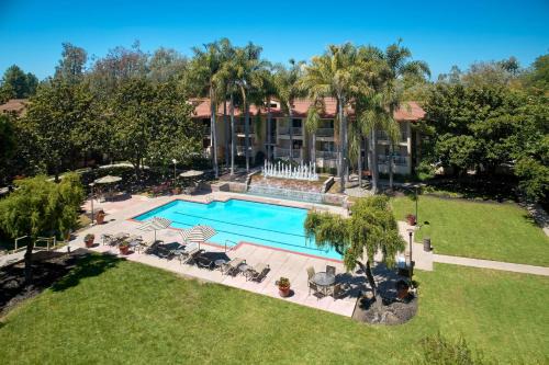 Milpitas Hotel | Discover Sheraton San Jose: Oceanfront & Pet-Friendly Stay