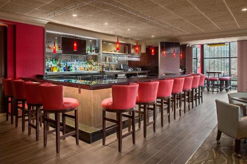 Cuyahoga Falls Hotel | Pet-Friendly Retreat at Sheraton Suites Akron Cuyahoga Falls