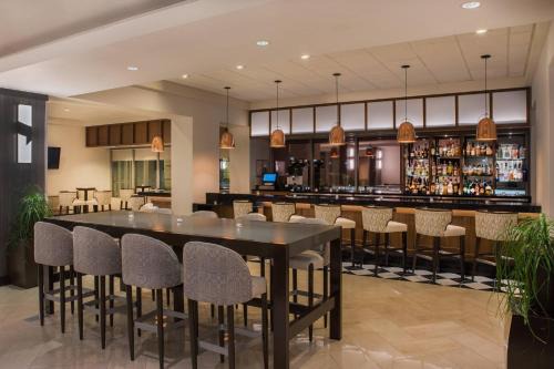 Elk Grove Village Hotel | Discover Sheraton Suites Chicago Elk Grove: Pet Friendly Stay