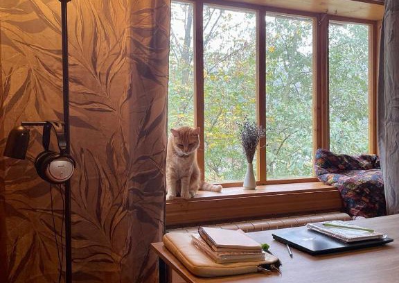 Snidavka Villa | Exceptional Sheshory Chalet: Pet & Child Friendly Retreat