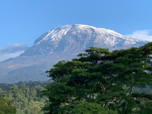 Kilimanjaro Region House | Pet-Friendly Shimbwe Meadows Guest House: Rated 9/10